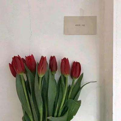 那个捡来的女孩毕业回乡当老师了